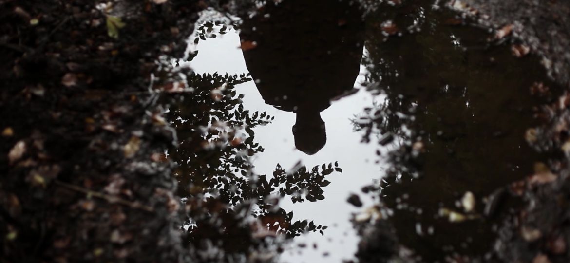 1197-Die_versteckten_und_stillen_Schatze_des_Lebens