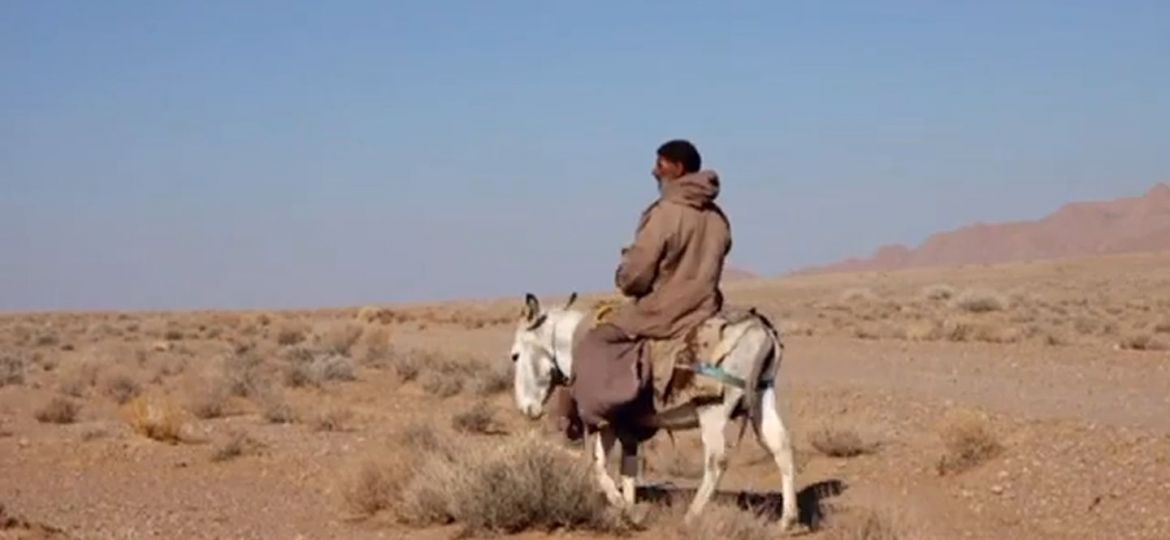 278-22f933b7adf6ac04af4f326242fb57f2