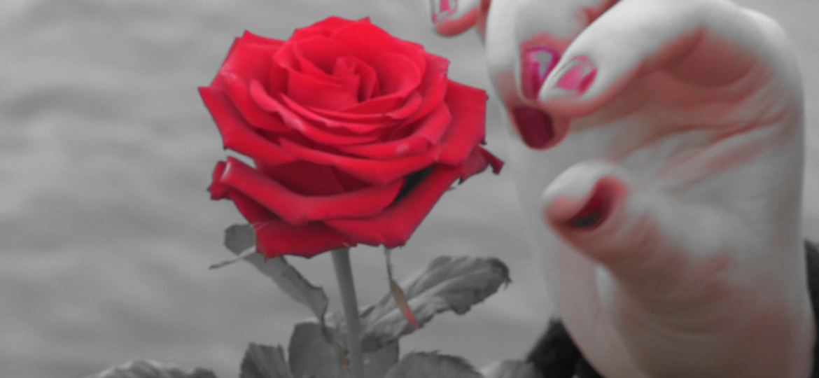 332-bd3bef9183f7ec9e5626cb33f548466e