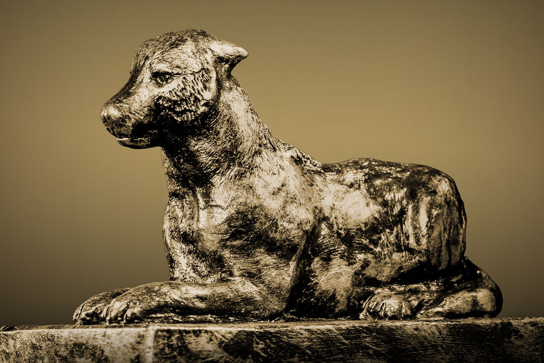 JuFiFe36_Programm_Link_Jury_neutral