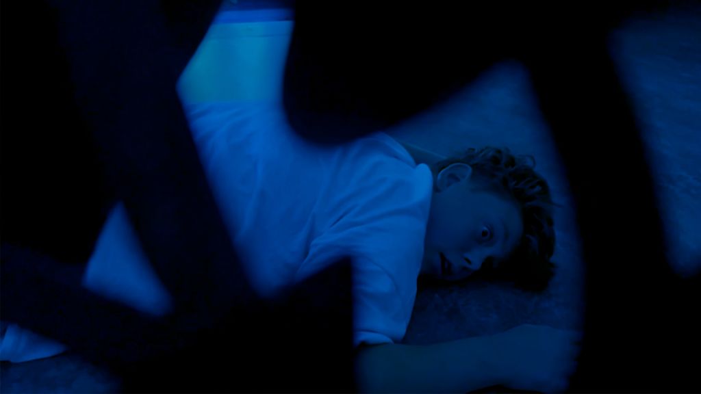 The Castle in the Woods