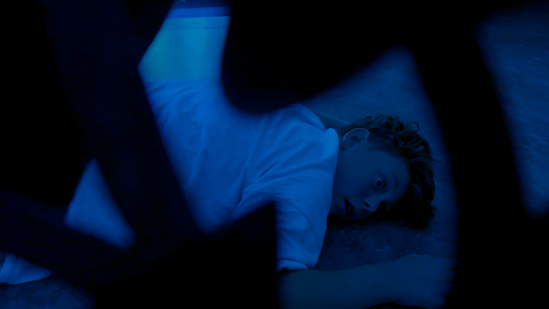 The-Castle-in-the-Woods